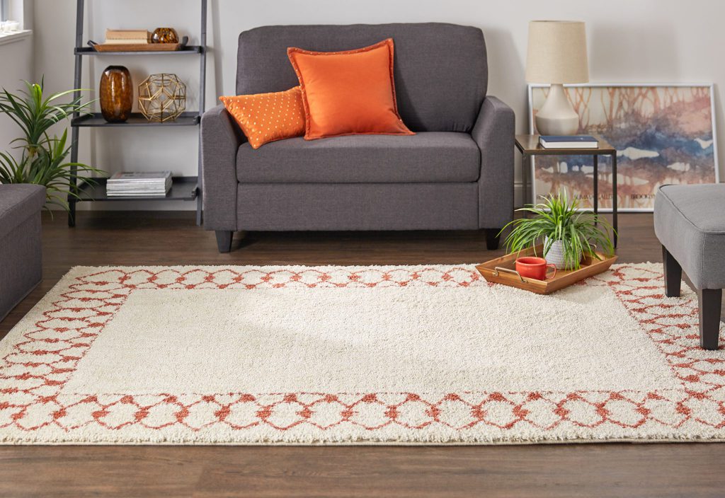 Photo of Mohawk Home's Chained Border Area rug in coral from the Laguna Collection